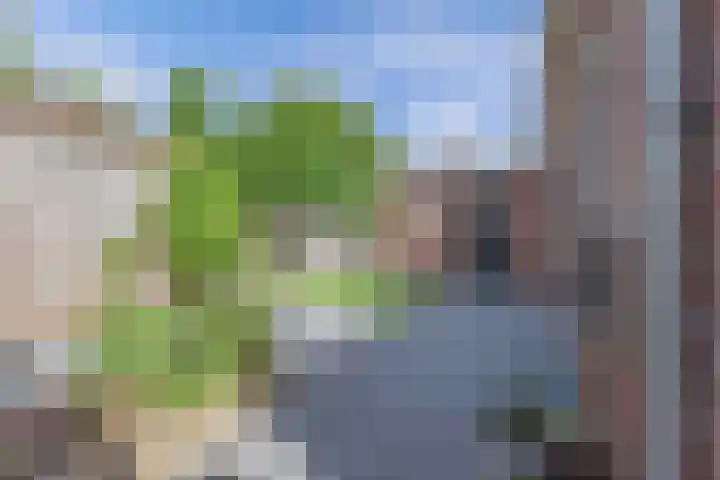 Jaenbuorren 18 Jorwert thumbnail 44