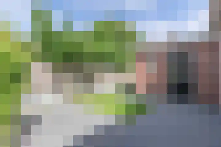 Jaenbuorren 18 Jorwert thumbnail 45