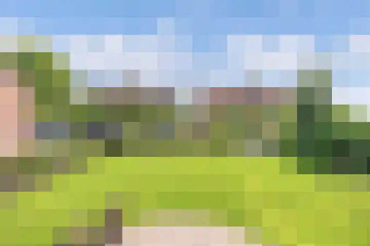 Jaenbuorren 18 Jorwert thumbnail 48