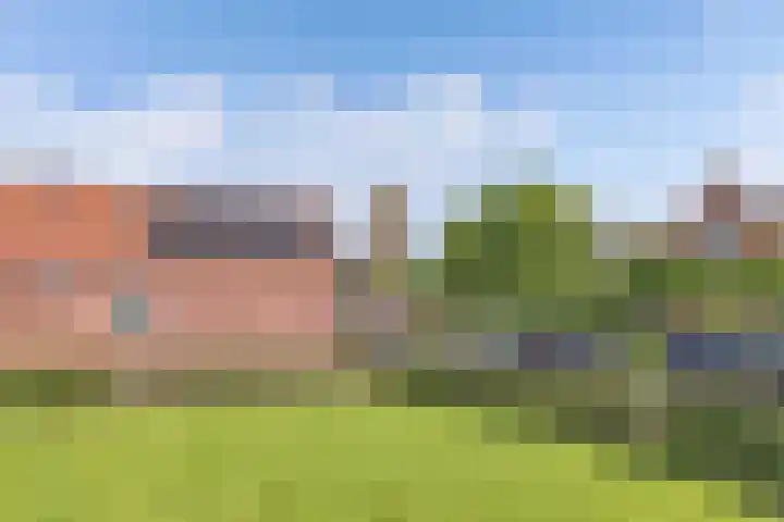 Jaenbuorren 18 Jorwert thumbnail 49
