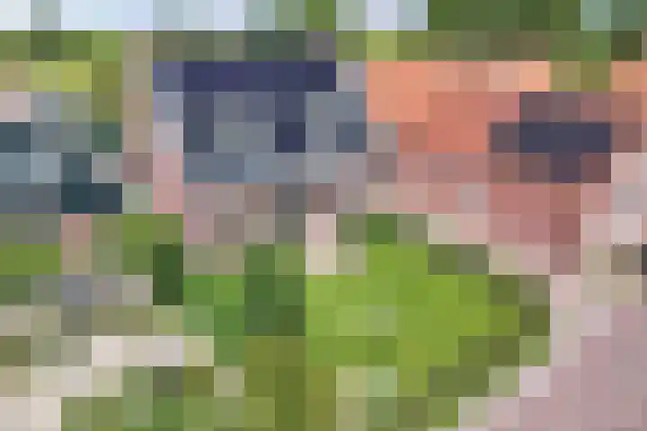 Jaenbuorren 18 Jorwert thumbnail 51