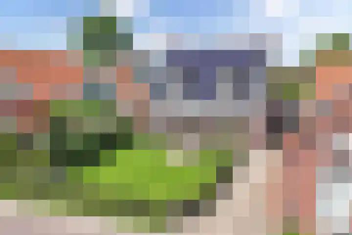 Jaenbuorren 18 Jorwert thumbnail 53