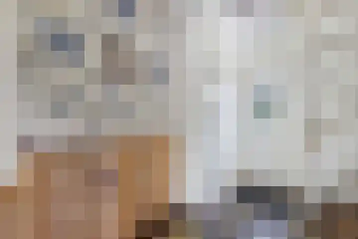 Jaenbuorren 18 Jorwert thumbnail 7