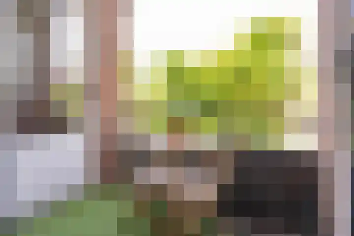 Jaersveltstraat 17 B Rotterdam thumbnail 21