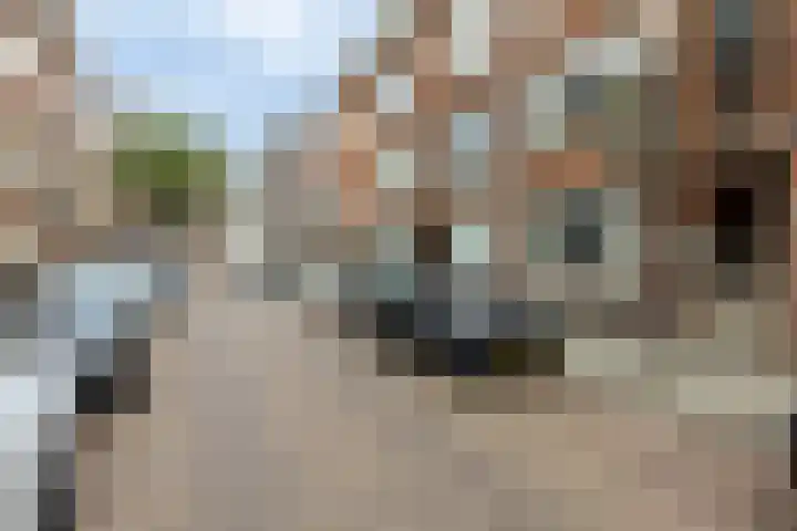 Jaersveltstraat 20 A Rotterdam thumbnail 31