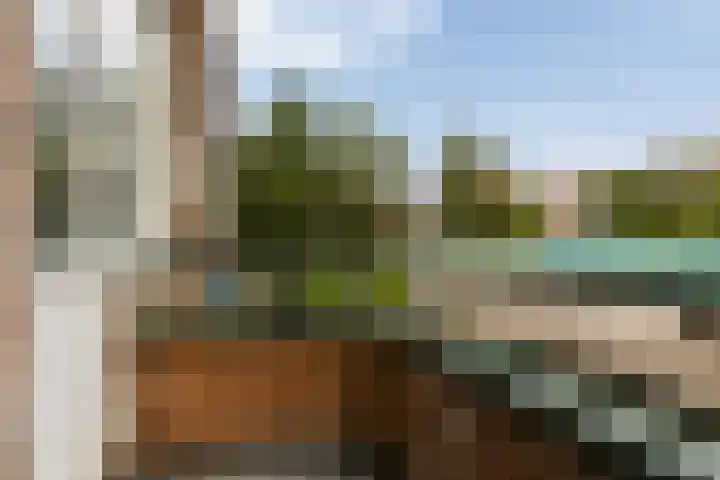 Jaersveltstraat 20 A Rotterdam thumbnail 4