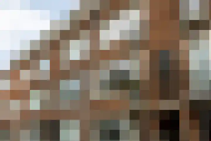 Jaersveltstraat 20 A Rotterdam thumbnail 5