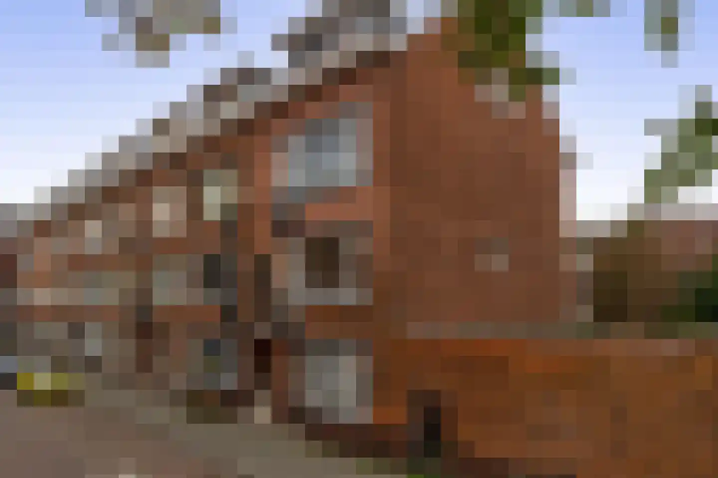 Jaersveltstraat 26 B Rotterdam thumbnail 25
