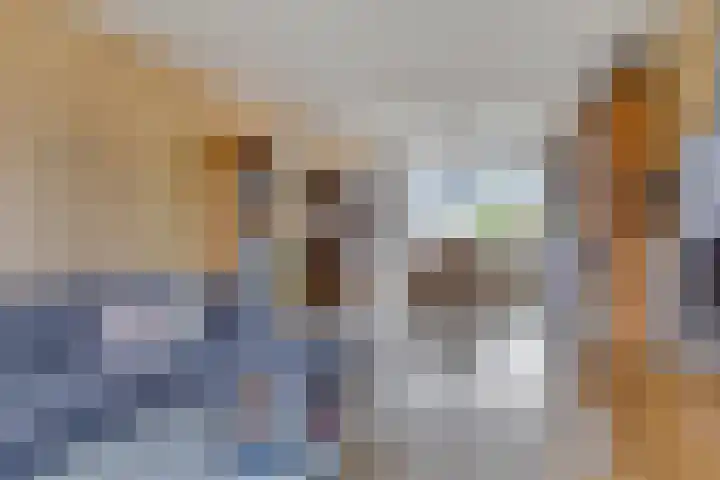Jaersveltstraat 51 A Rotterdam thumbnail 6