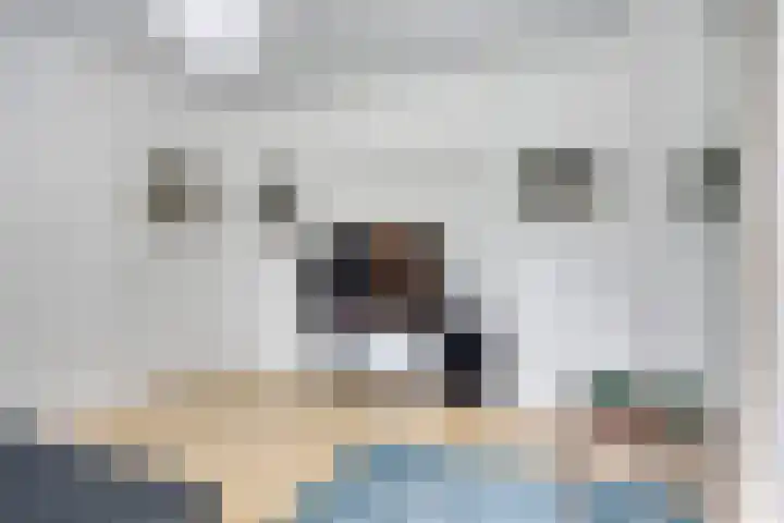 Jaersveltstraat 66 Rotterdam thumbnail 23