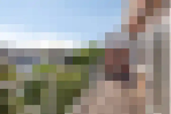Jaersveltstraat 66 Rotterdam thumbnail 36