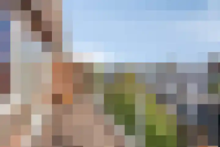 Jaersveltstraat 66 Rotterdam thumbnail 37