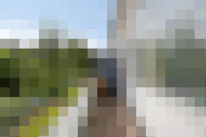 Jaersveltstraat 66 Rotterdam thumbnail 39
