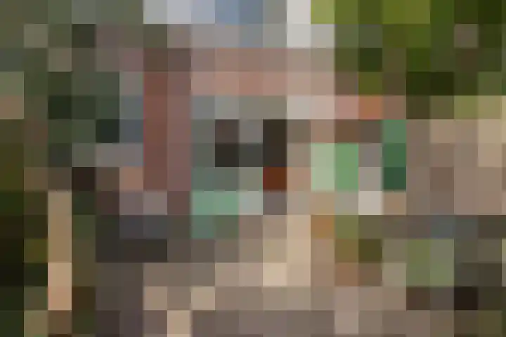 Jaersveltstraat 66 Rotterdam thumbnail 42
