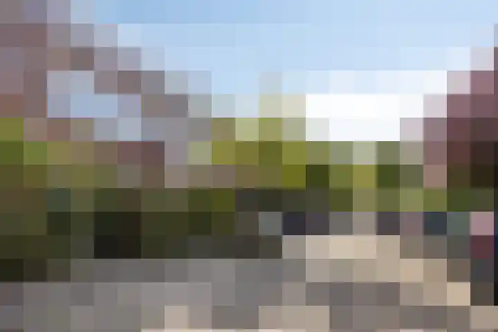 Jaersveltstraat 66 Rotterdam thumbnail 43