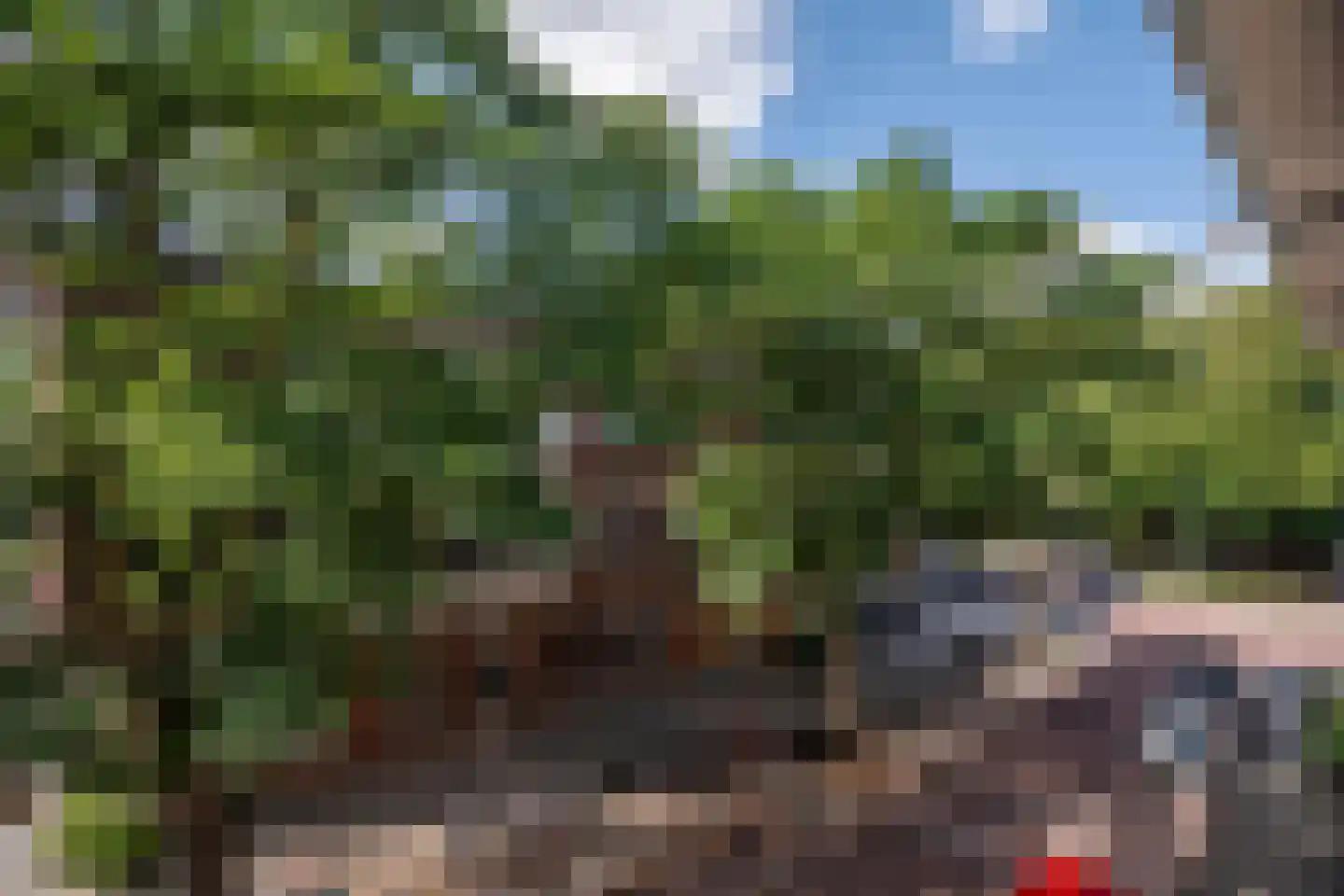 Jaffa 18 C Rotterdam thumbnail 38