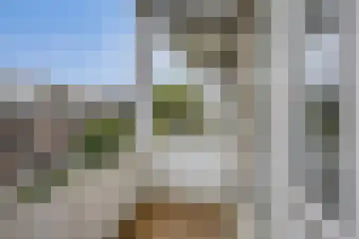 Jaffa 32 A Rotterdam thumbnail 17