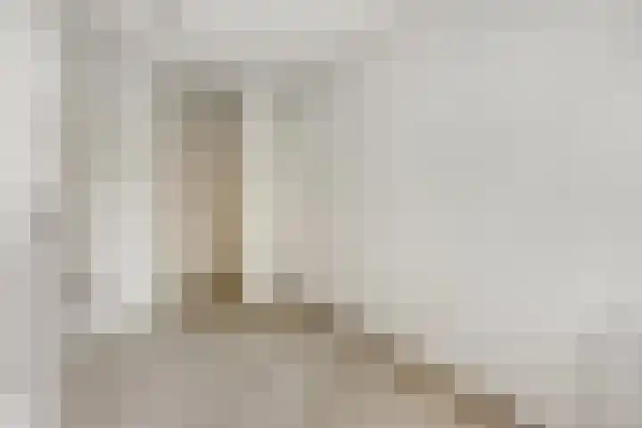 Jaffa 42 E Rotterdam thumbnail 13