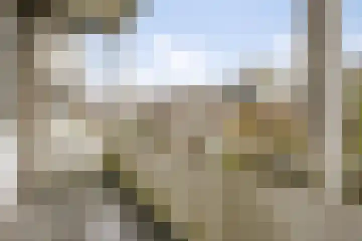 Jaffa 42 E Rotterdam thumbnail 16