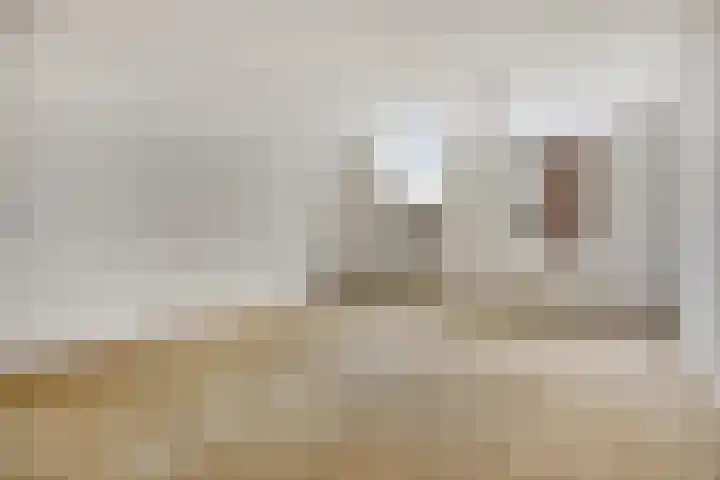 Jaffa 42 E Rotterdam thumbnail 4