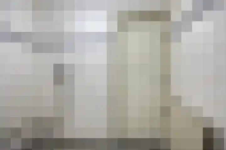 Jaffadwarsstraat 43 Rotterdam thumbnail 15