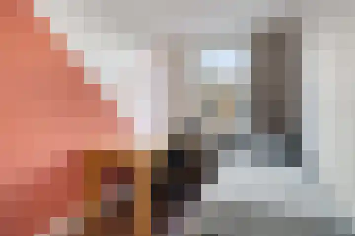 Jaffadwarsstraat 46 B Rotterdam thumbnail 30