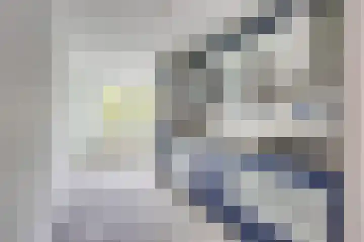 Jaffadwarsstraat 59 Rotterdam thumbnail 12