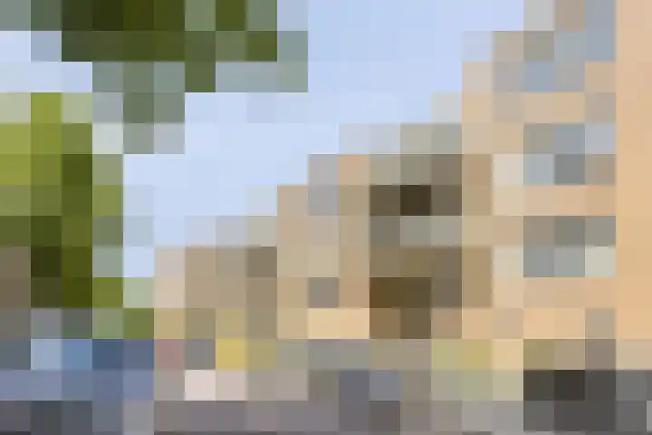 Jaffadwarsstraat 59 Rotterdam foto 2