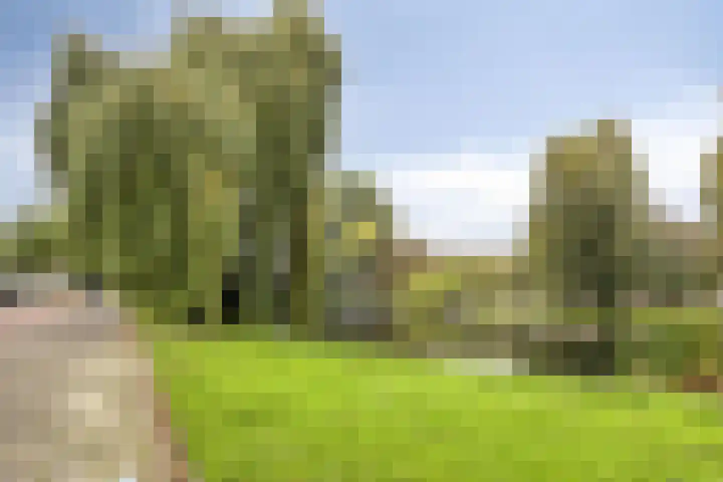 Jaffadwarsstraat 71 Rotterdam thumbnail 21