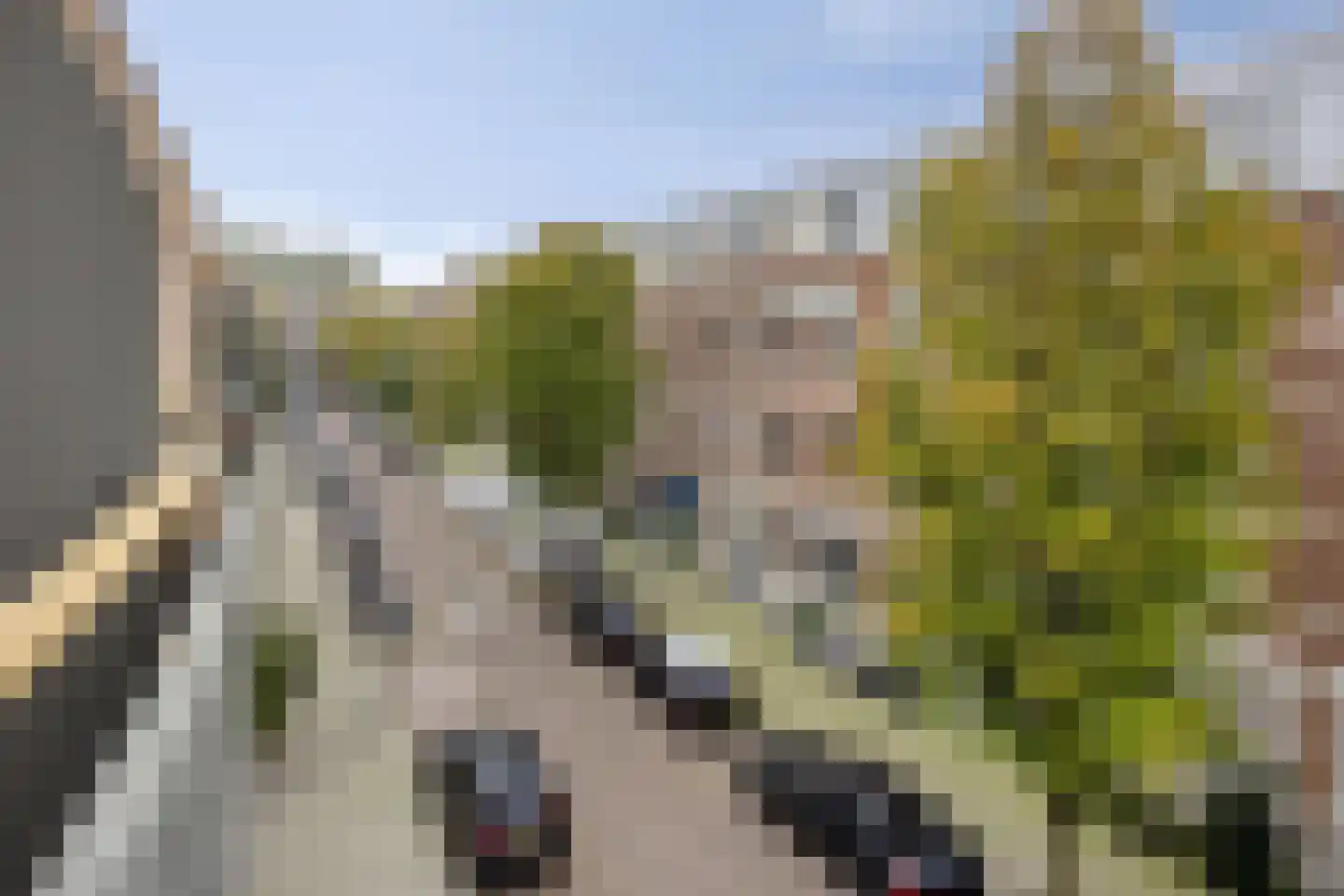 Jaffadwarsstraat 71 Rotterdam thumbnail 23