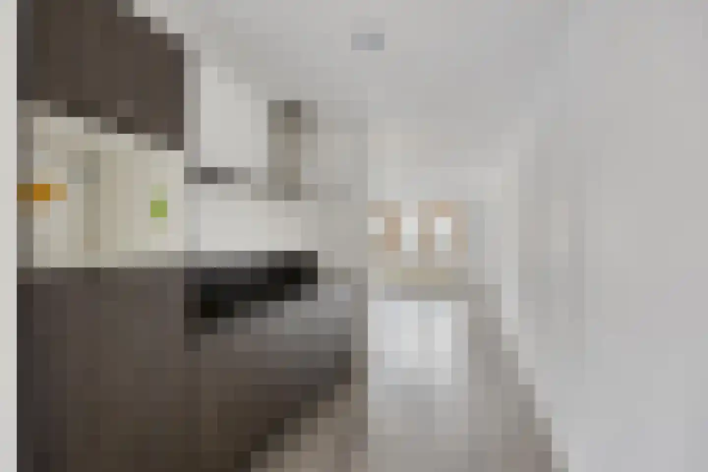 Jaffadwarsstraat 71 Rotterdam thumbnail 8