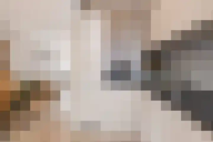 Jaffastraat 19 Utrecht thumbnail 16