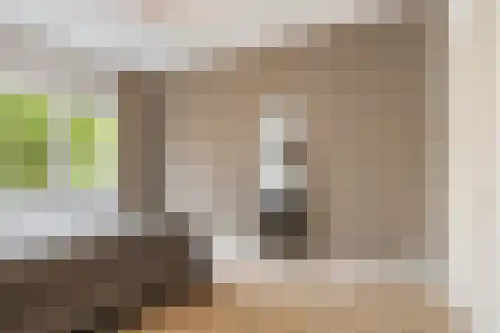 Jaffastraat 19 Utrecht thumbnail 26