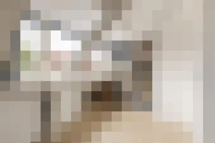 Jaffastraat 19 Utrecht thumbnail 32