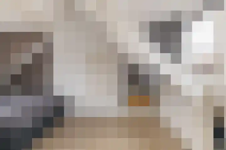 Jaffastraat 19 Utrecht thumbnail 33