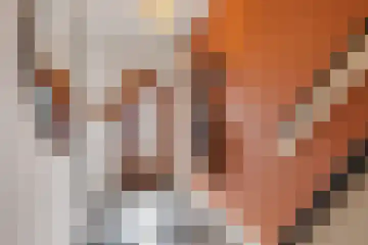 Jaffastraat 19 Utrecht thumbnail 34