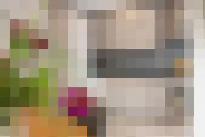 Jaffastraat 19 Utrecht thumbnail 4