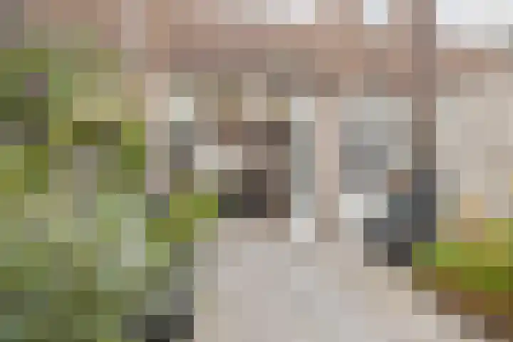 Jaffastraat 19 Utrecht thumbnail 5