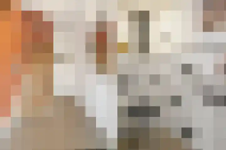 Jaffastraat 19 Utrecht thumbnail 6