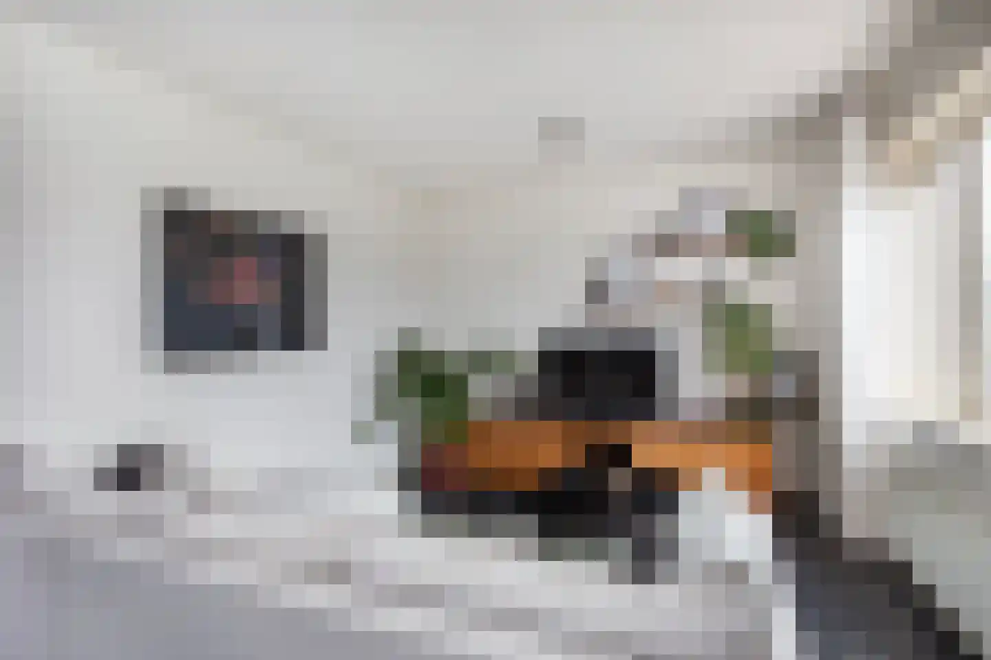 Jaffastraat 2 H Utrecht thumbnail 12