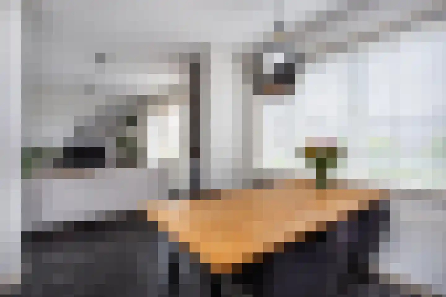 Jaffastraat 2 H Utrecht thumbnail 9