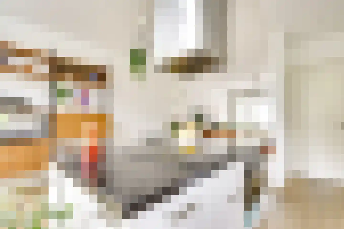 Jaffastraat 3 Utrecht thumbnail 13