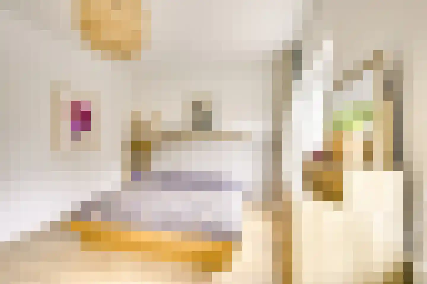 Jaffastraat 3 Utrecht thumbnail 23