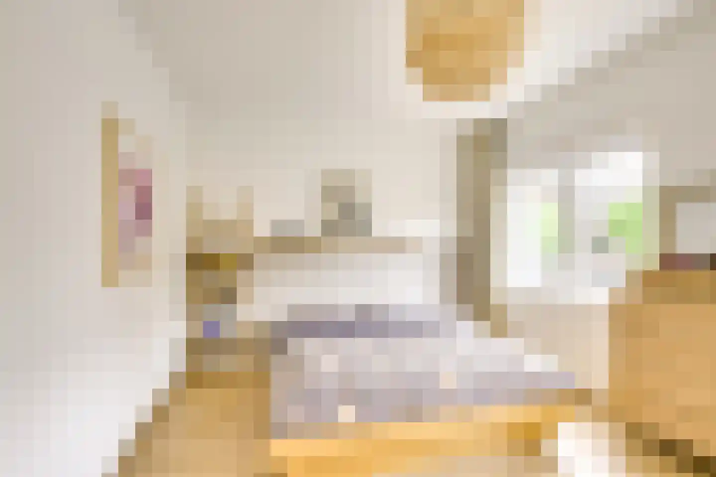 Jaffastraat 3 Utrecht thumbnail 25