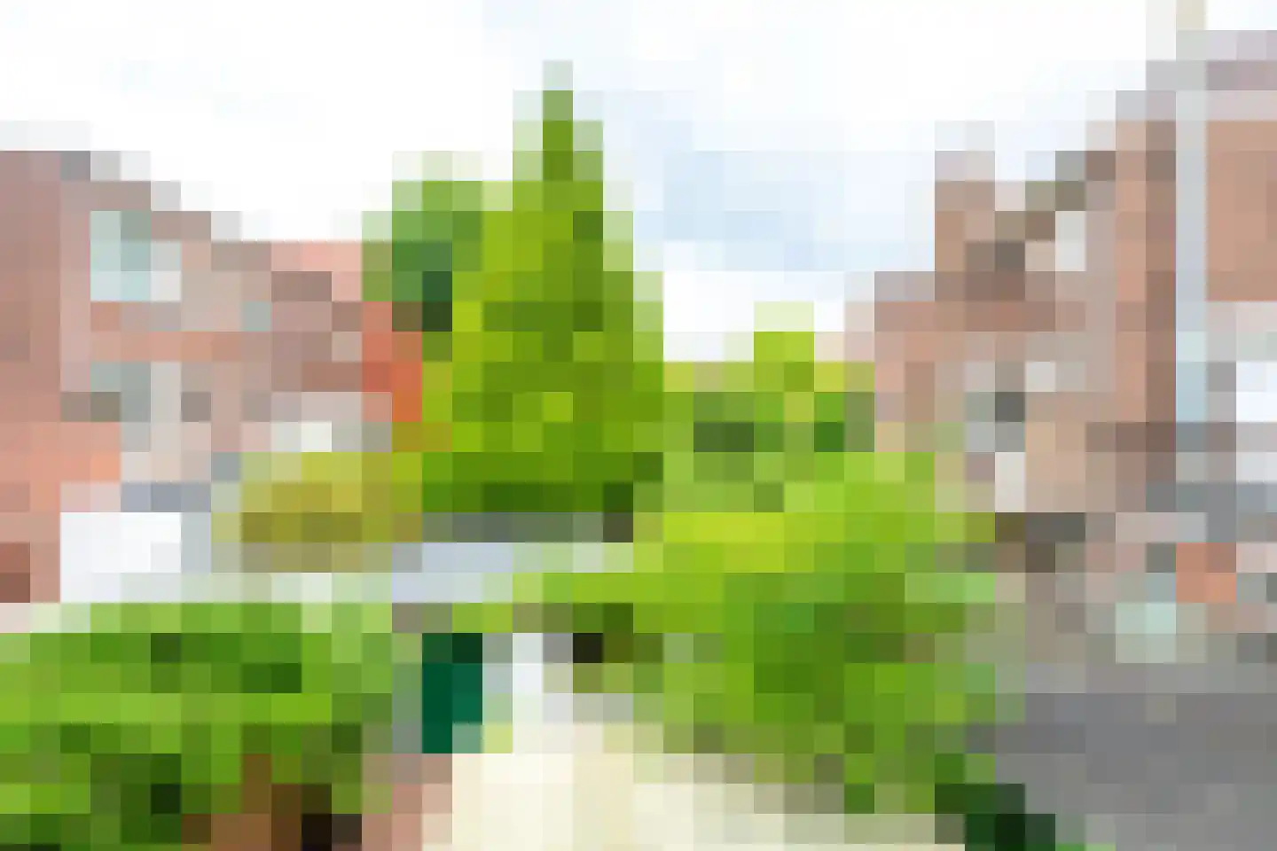 Jaffastraat 3 Utrecht thumbnail 32