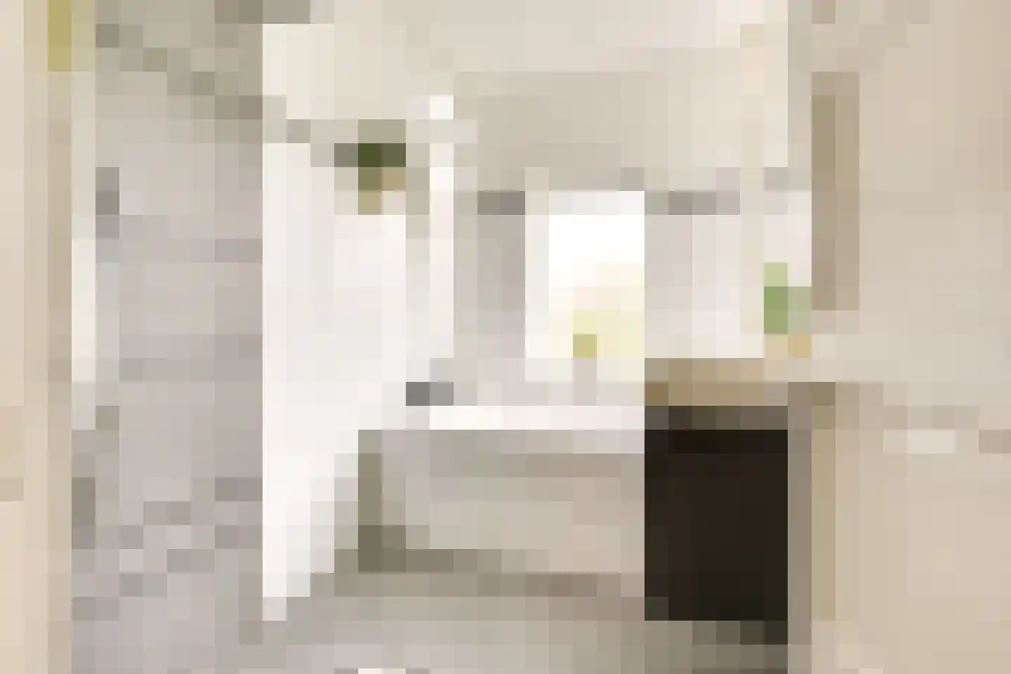 Jaffastraat 3 Utrecht thumbnail 34