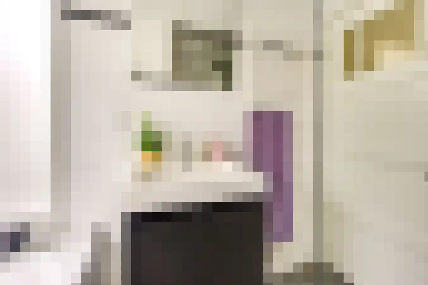 Jaffastraat 3 Utrecht thumbnail 36