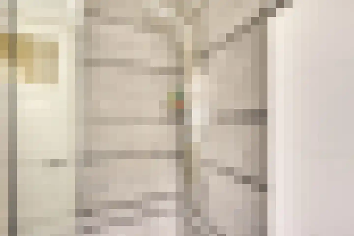 Jaffastraat 3 Utrecht thumbnail 39