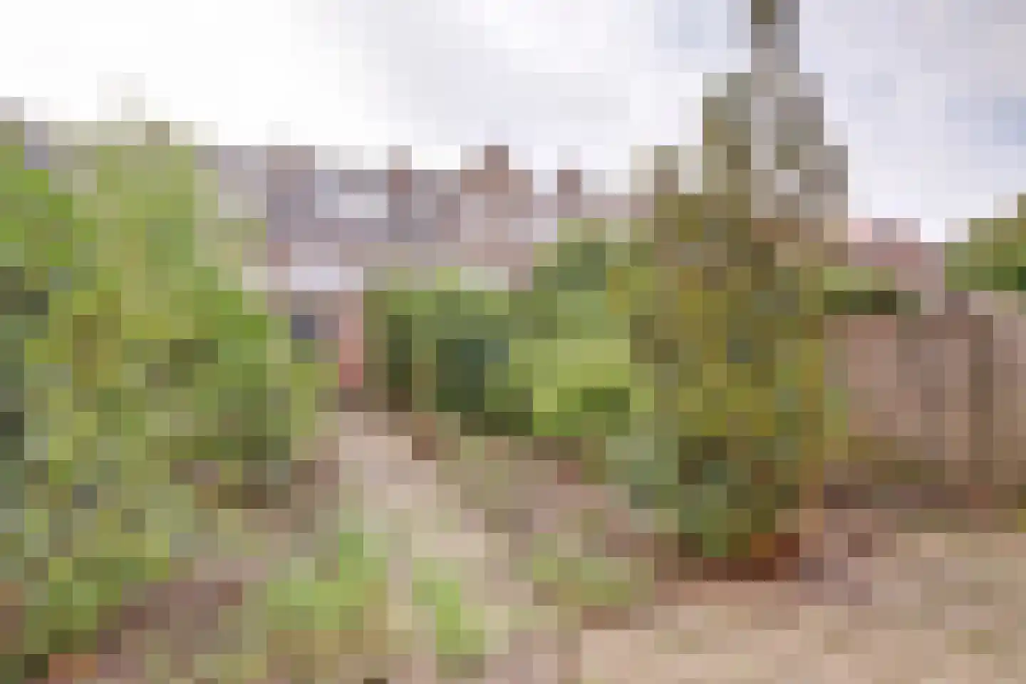Jaffastraat 52 Utrecht thumbnail 11