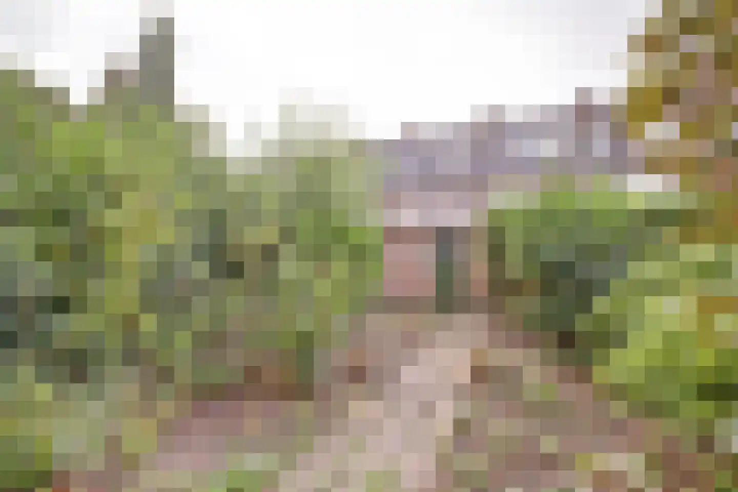 Jaffastraat 52 Utrecht thumbnail 12